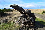photo thumbnail #5