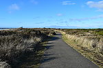 photo thumbnail #9
