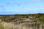 photo thumbnail #10