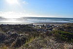 photo thumbnail #13