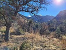photo thumbnail #8