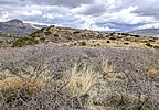 photo thumbnail #12