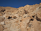 photo thumbnail #12