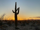 photo thumbnail #1