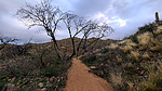 photo thumbnail #3