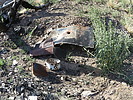 photo thumbnail #6