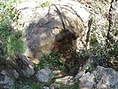 photo thumbnail #8