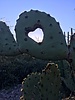 photo thumbnail #14