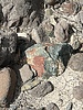 photo thumbnail #13