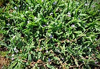 2022-03-09 :1: Middle Sonoran Preserve N Loop :: tibber