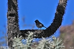 2022-03-07 :1: Weaver