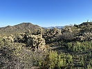 photo thumbnail #11