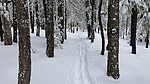 photo thumbnail #14
