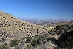photo thumbnail #14