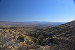 photo thumbnail #2