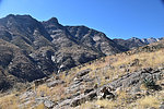photo thumbnail #3