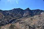 photo thumbnail #5