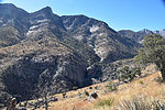 photo thumbnail #6
