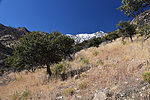 photo thumbnail #9