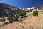 photo thumbnail #10