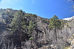 photo thumbnail #12