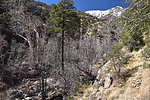photo thumbnail #13