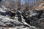 photo thumbnail #14