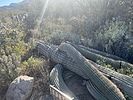 photo thumbnail #1