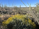 photo thumbnail #4