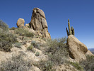 photo thumbnail #1