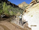 photo thumbnail #13