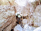 photo thumbnail #3