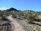 photo thumbnail #2