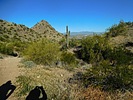 photo thumbnail #5