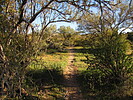 photo thumbnail #7