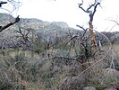 photo thumbnail #6