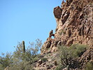 photo thumbnail #10