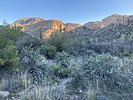 photo thumbnail #2
