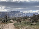 photo thumbnail #8