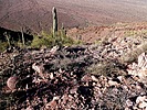 photo thumbnail #6