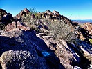 photo thumbnail #12
