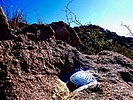 photo thumbnail #13