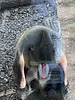 photo thumbnail #10