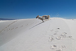 photo thumbnail #6