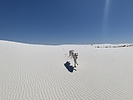 photo thumbnail #8