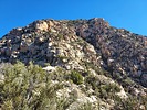 2022-03-15 :2: Capitol Butte Southwest Ridge :: DixieFlyer
