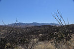 photo thumbnail #7
