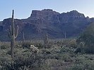 photo thumbnail #2