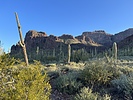 photo thumbnail #12
