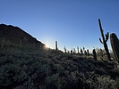 photo thumbnail #13